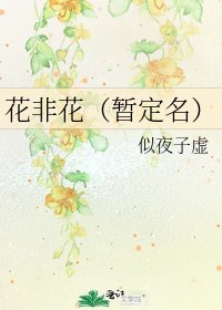 花非花(暂定名)