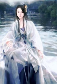 （综同人）[红楼+清穿]榜下捉婿